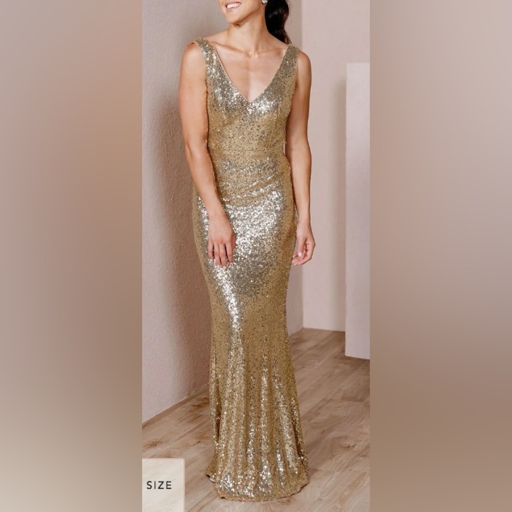 Revelry Dakota Sequin Dress, size 6